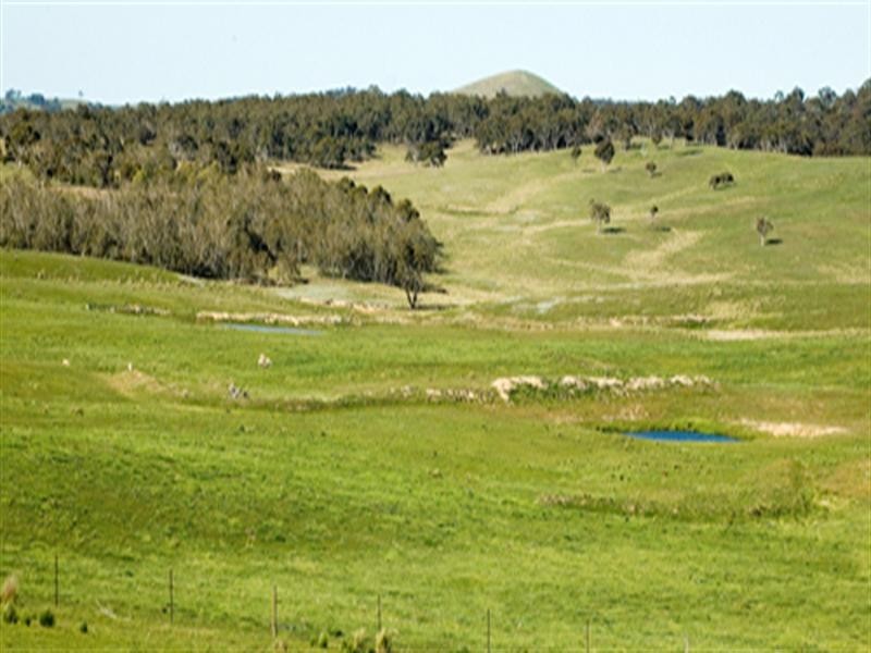 3582 Kings Highway, Bungendore NSW 2621