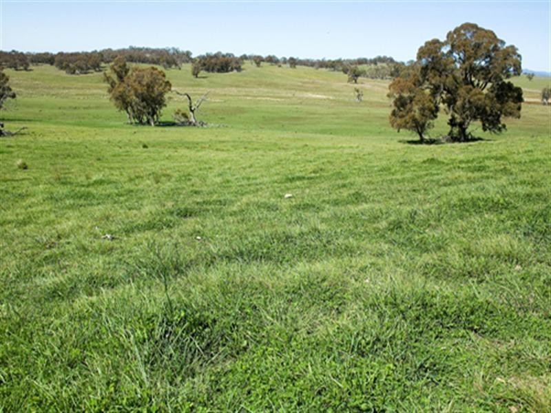 3582 Kings Highway, Bungendore NSW 2621