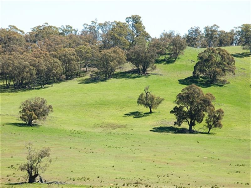 3582 Kings Highway, Bungendore NSW 2621
