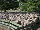 3582 Kings Highway, Bungendore NSW 2621