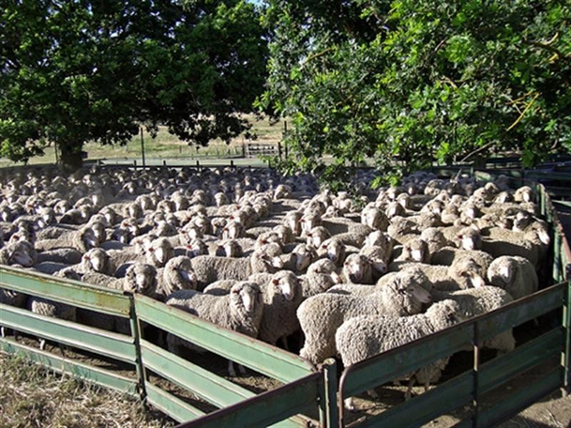 3582 Kings Highway, Bungendore NSW 2621