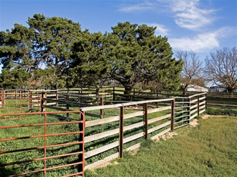 3582 Kings Highway, Bungendore NSW 2621
