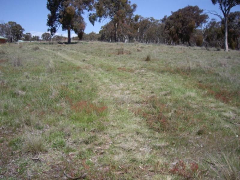 40 Carlton Drive, Bungendore NSW 2621