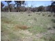 40 Carlton Drive, Bungendore NSW 2621