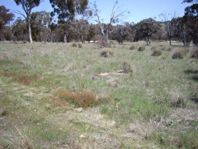 40 Carlton Drive, Bungendore NSW 2621