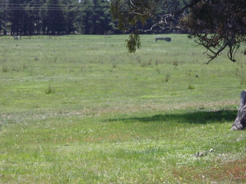 40 Carlton Drive, Bungendore NSW 2621