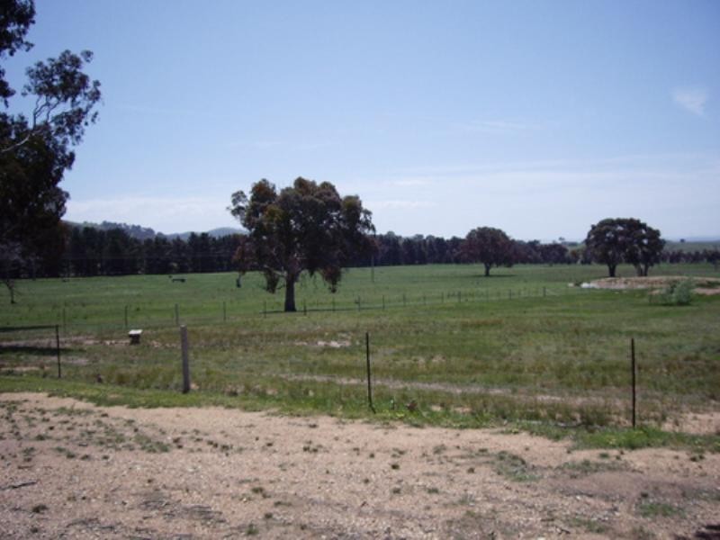 40 Carlton Drive, Bungendore NSW 2621