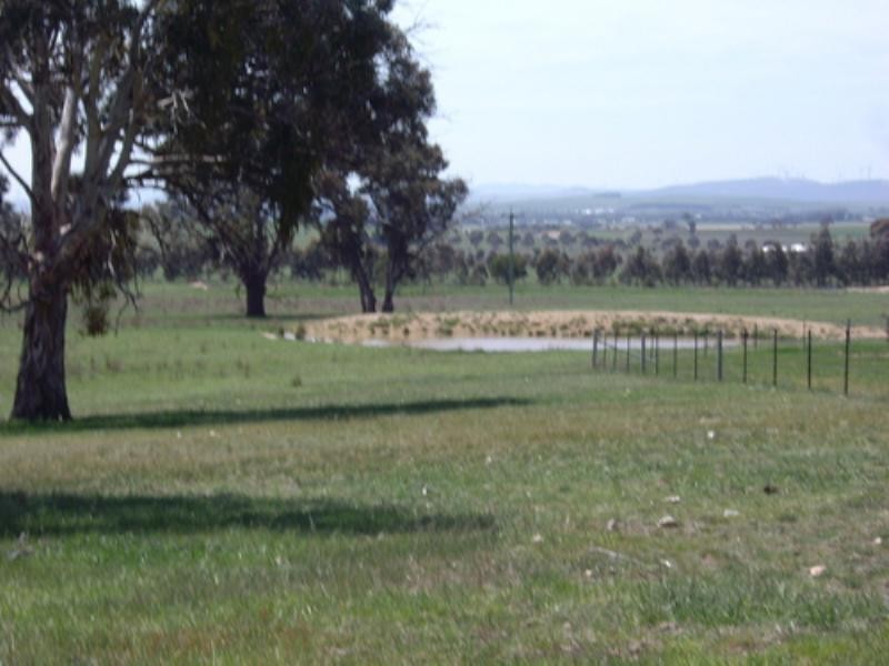 40 Carlton Drive, Bungendore NSW 2621