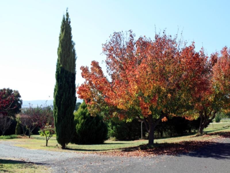 45 Hope Drive, Bungendore NSW 2621