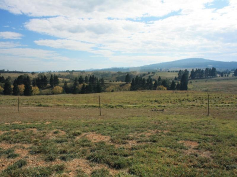 77 Aberfeldy Lane, Bungendore NSW 2621