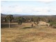 944 Braidwood Road, Bungendore NSW 2621