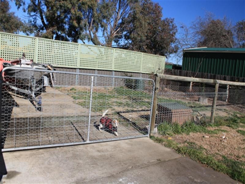 31 Forster Street, Bungendore NSW 2621