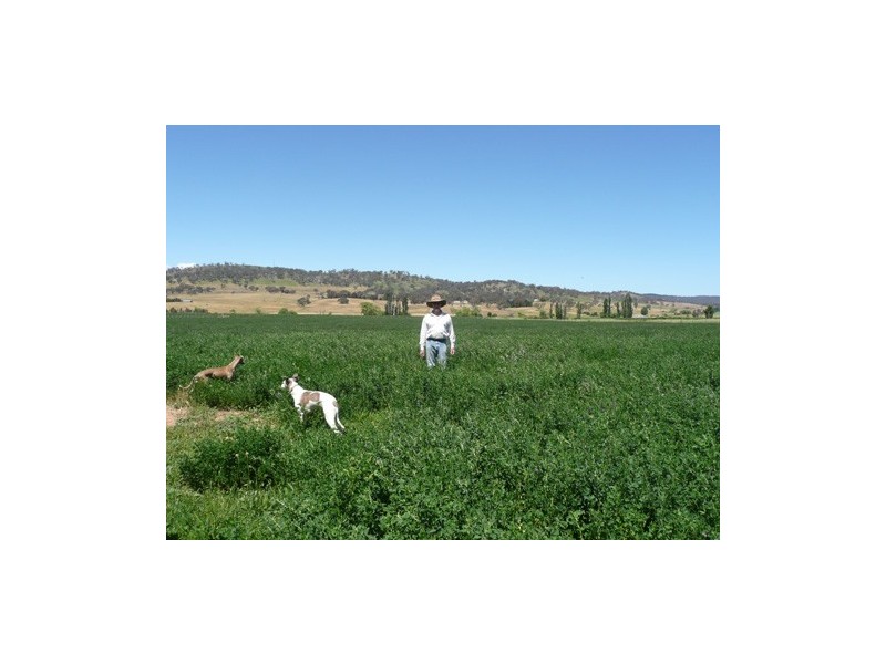 2448 Sutton Road, Sutton NSW 2620