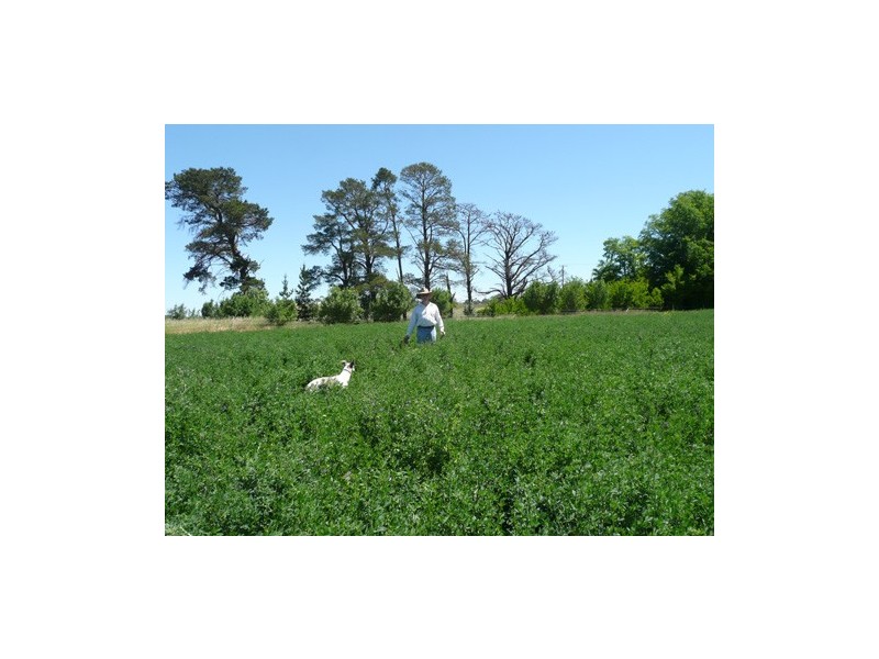 2448 Sutton Road, Sutton NSW 2620