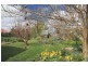 17 Turallo Terrace, Bungendore NSW 2621
