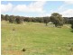 21 Reedy Creek Place, Wamboin NSW 2620