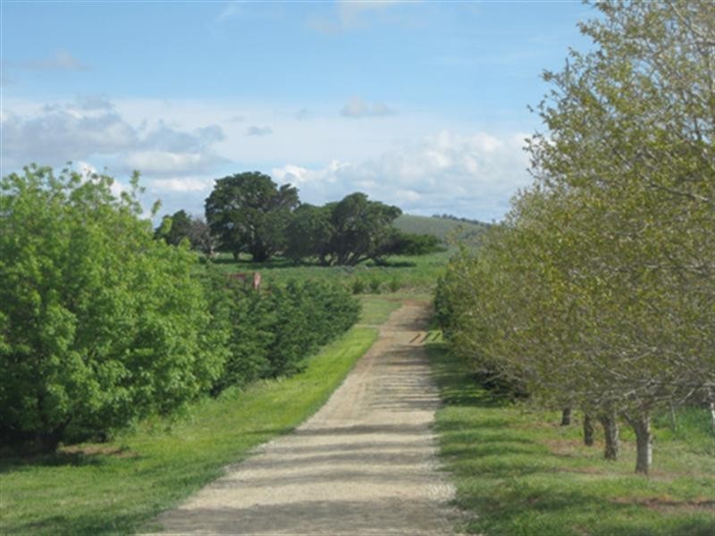 23 Greenhill Lane, Bungendore NSW 2621