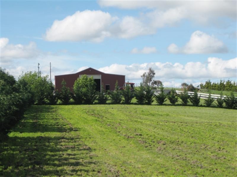 23 Greenhill Lane, Bungendore NSW 2621