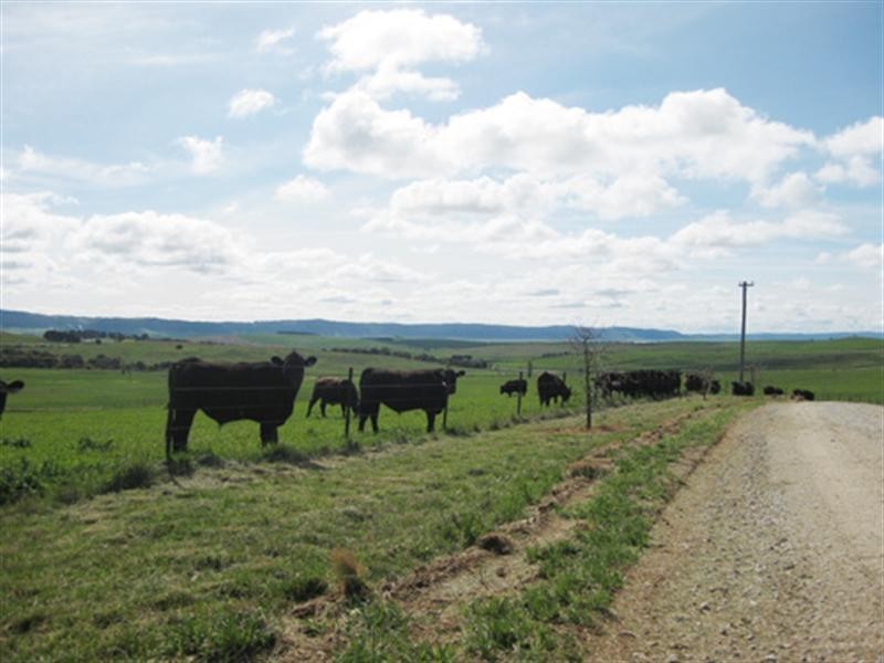 23 Greenhill Lane, Bungendore NSW 2621