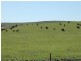 23 Greenhill Lane, Bungendore NSW 2621