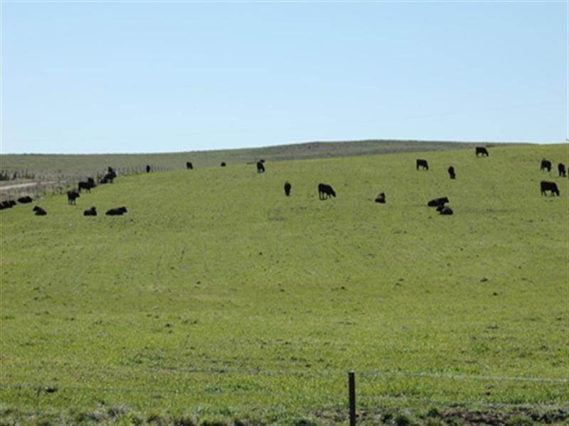 23 Greenhill Lane, Bungendore NSW 2621