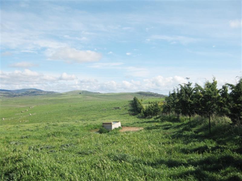 23 Greenhill Lane, Bungendore NSW 2621