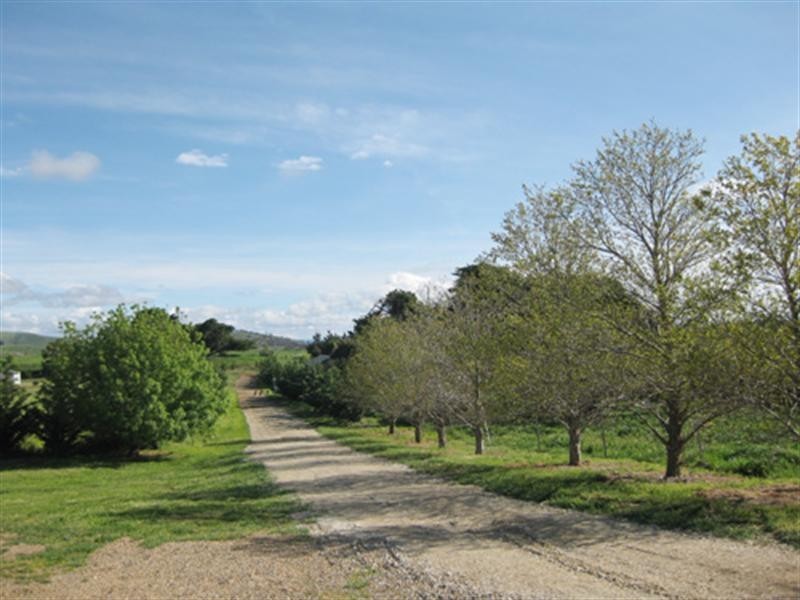 23 Greenhill Lane, Bungendore NSW 2621