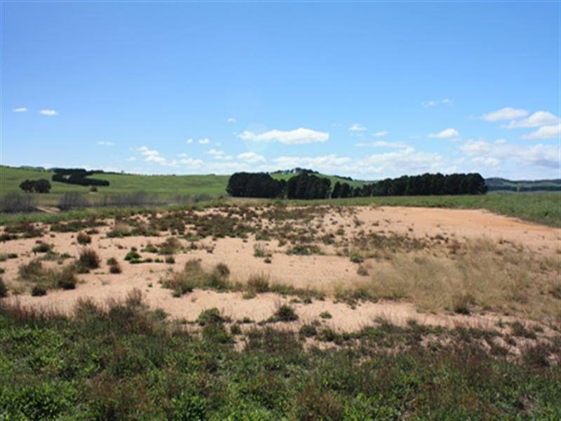 201 Mount Fairy Road, Bungendore NSW 2621