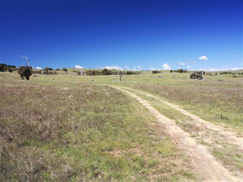 241 Taylors Creek Road, Bungendore NSW 2621