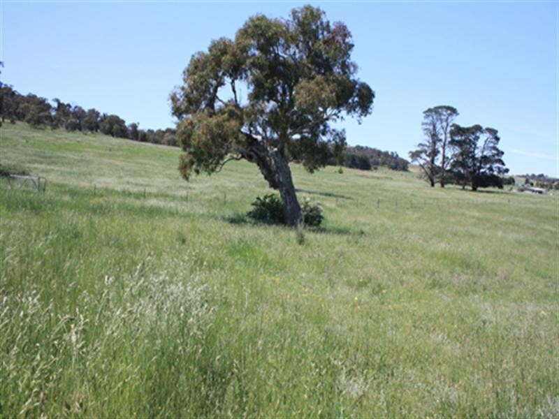 1641 Hoskinstown Road, Hoskinstown NSW 2621