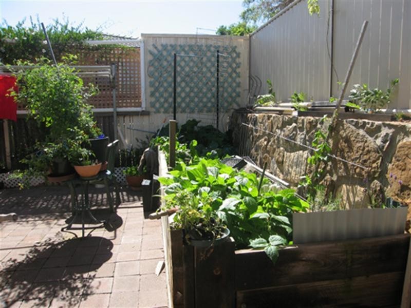 5 Patrick Brick Court, Queanbeyan NSW 2620