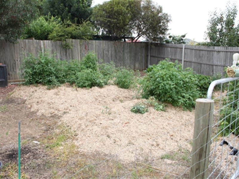 20 Ashby Drive, Bungendore NSW 2621