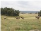 628 Mulloon Road, Bungendore NSW 2621