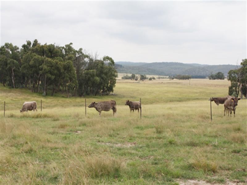 628 Mulloon Road, Bungendore NSW 2621