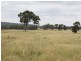 628 Mulloon Road, Bungendore NSW 2621