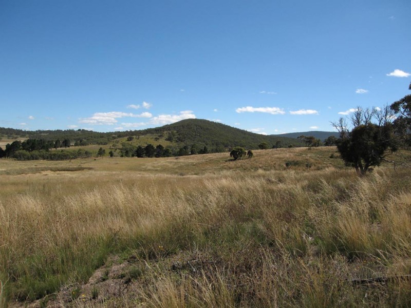 Lot 14 Rossi Road, Hoskinstown NSW 2621