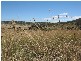 Lot 14 Rossi Road, Hoskinstown NSW 2621