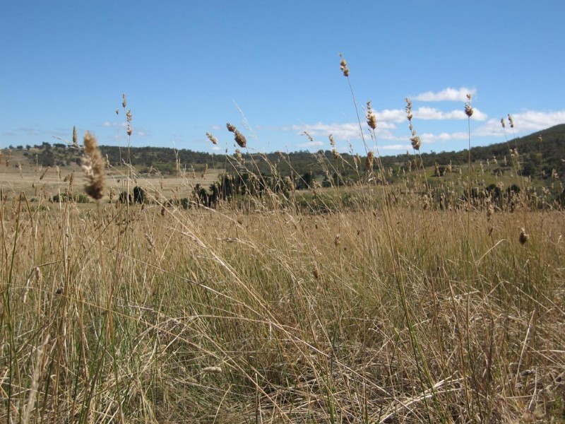 Lot 14 Rossi Road, Hoskinstown NSW 2621