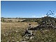 Lot 14 Rossi Road, Hoskinstown NSW 2621