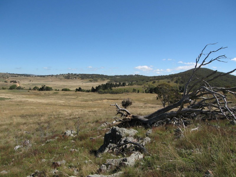 Lot 14 Rossi Road, Hoskinstown NSW 2621