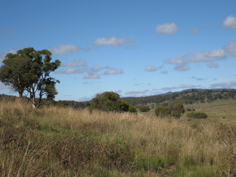 Lot 14 Rossi Road, Hoskinstown NSW 2621