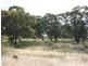Lot 3 Butmaroo Road, Bungendore NSW 2621