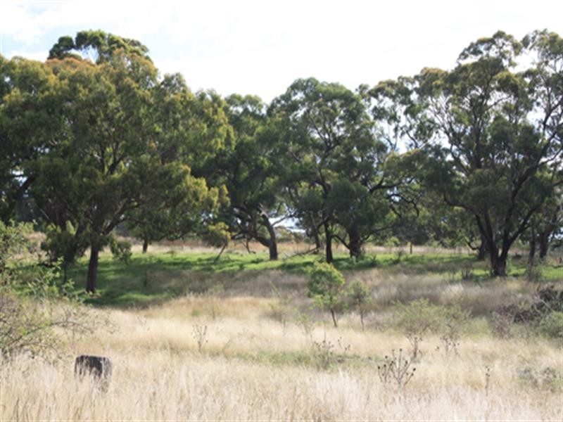 Lot 3 Butmaroo Road, Bungendore NSW 2621