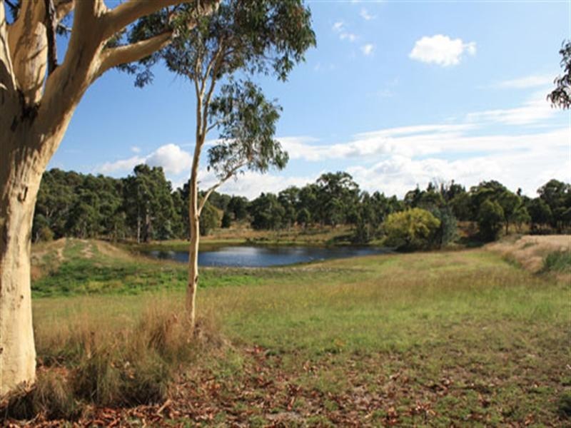 35 Sheehan Road, Hoskinstown NSW 2621