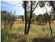 218 Radcliffe Circuit, Carwoola NSW 2620
