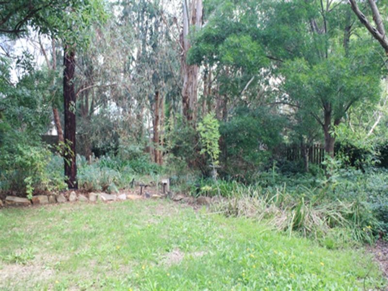 81 Majara Street, Bungendore NSW 2621