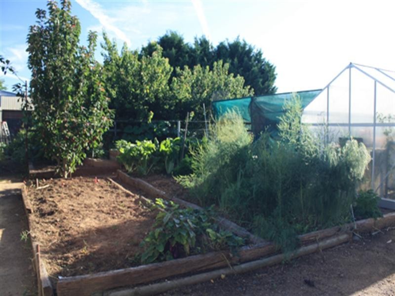 6 King Street, Bungendore NSW 2621