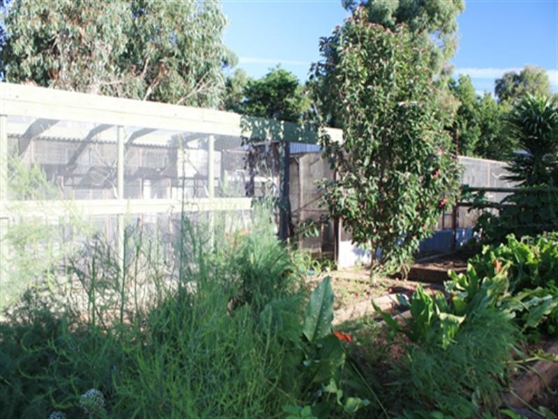 6 King Street, Bungendore NSW 2621