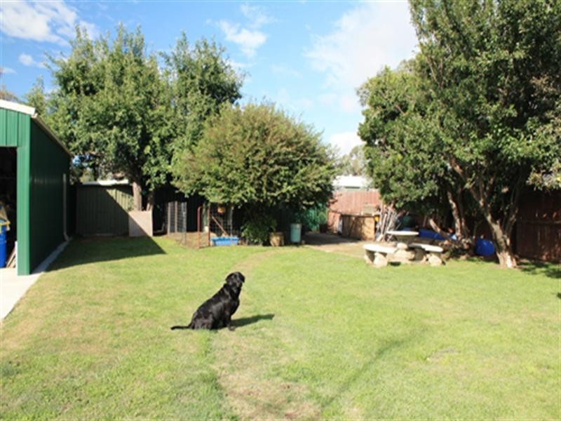 29 Forster Street, Bungendore NSW 2621