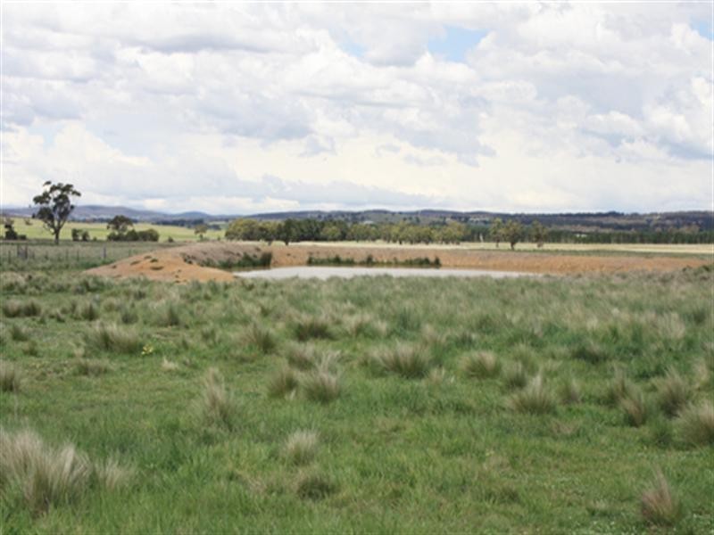 63 Roseview Road, Tarago NSW 2580